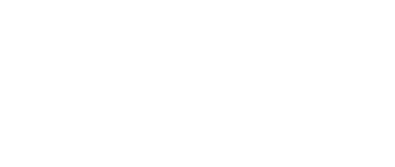 Panustamine Premier League võrgus